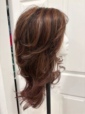 ENVY HAIR Human & HF synthetic Blend Long Brown Auburn Red Layered Wig. Great!